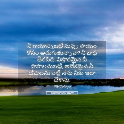 Picture 05 - యిర్మీయా 30:15 TELIRV - నీ గాయాన్నిబట్టి - Bible Verse Picture