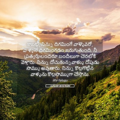 Picture 05 - యిర్మీయా 30:16 TELIRV - కాబట్టి, నిన్ను - Bible Verse Picture