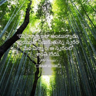 Picture 05 - యిర్మీయా 30:5 TELIRV - “యెహోవా ఇలా - Bible Verse Picture