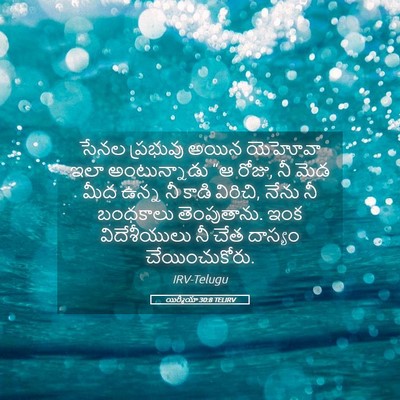 Picture 05 - యిర్మీయా 30:8 TELIRV - సేనల ప్రభువు అయిన - Bible Verse Picture