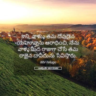 Picture 05 - యిర్మీయా 30:9 TELIRV - కాని, వాళ్ళు తమ - Bible Verse Picture