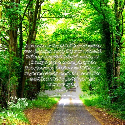 Picture 05 - యిర్మీయా 31:20 TELIRV - ఎఫ్రాయిము నా - Bible Verse Picture