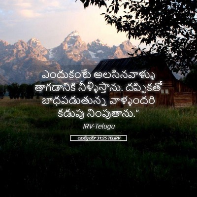 Picture 05 - యిర్మీయా 31:25 TELIRV - ఎందుకంటే - Bible Verse Picture