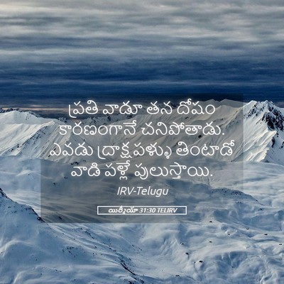 Picture 05 - యిర్మీయా 31:30 TELIRV - ప్రతి వాడూ తన దోషం - Bible Verse Picture
