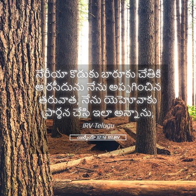 Picture 05 - యిర్మీయా 32:16 TELIRV - నేరీయా కొడుకు - Bible Verse Picture