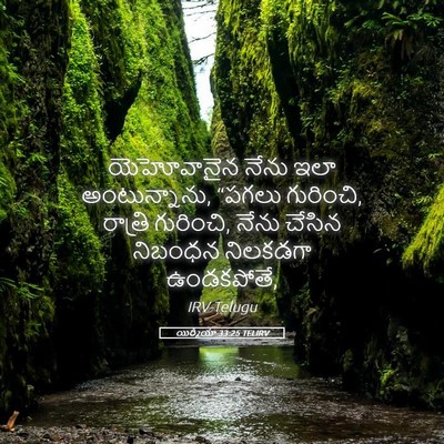 Picture 05 - యిర్మీయా 33:25 TELIRV - యెహోవానైన నేను - Bible Verse Picture