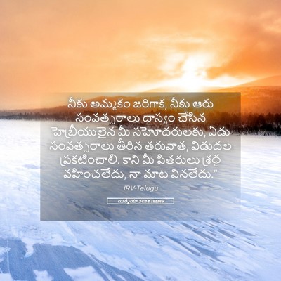 Picture 05 - యిర్మీయా 34:14 TELIRV - నీకు అమ్మకం - Bible Verse Picture