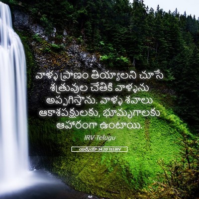 Picture 05 - యిర్మీయా 34:20 TELIRV - వాళ్ళ ప్రాణం - Bible Verse Picture