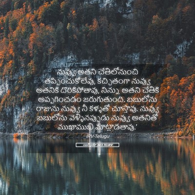 Picture 05 - యిర్మీయా 34:3 TELIRV - నువ్వు అతని - Bible Verse Picture