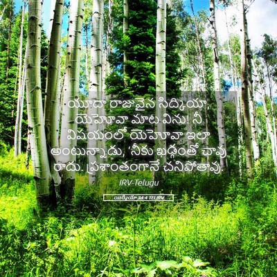 Picture 05 - యిర్మీయా 34:4 TELIRV - యూదా రాజువైన - Bible Verse Picture