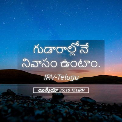 Picture 05 - యిర్మీయా 35:10 TELIRV - గుడారాల్లోనే - Bible Verse Picture