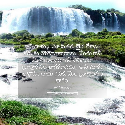 Picture 05 - యిర్మీయా 35:6 TELIRV - కాని వాళ్ళు “మా - Bible Verse Picture