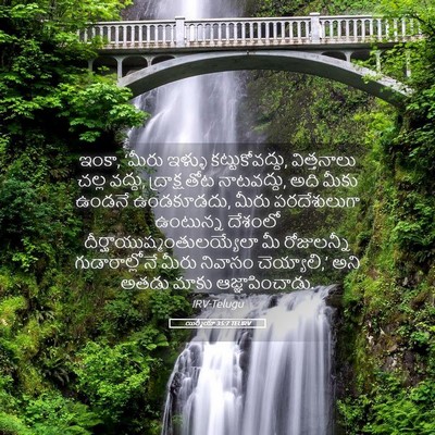 Picture 05 - యిర్మీయా 35:7 TELIRV - ఇంకా, ‘మీరు ఇళ్ళు - Bible Verse Picture