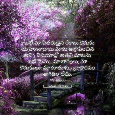 Picture 05 - యిర్మీయా 35:8 TELIRV - కాబట్టి మా - Bible Verse Picture