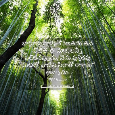Picture 05 - యిర్మీయా 36:18 TELIRV - బారూకు వాళ్ళతో - Bible Verse Picture
