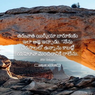 Picture 05 - యిర్మీయా 36:5 TELIRV - తరువాత యిర్మీయా - Bible Verse Picture
