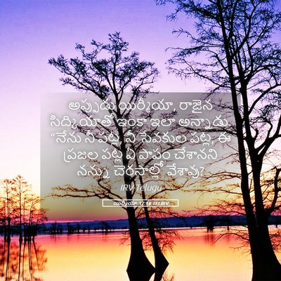 Picture 05 - యిర్మీయా 37:18 TELIRV - అప్పుడు యిర్మీయా, - Bible Verse Picture
