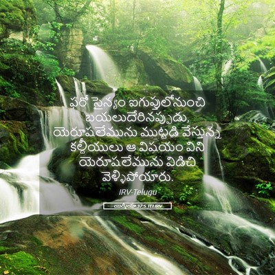 Picture 05 - యిర్మీయా 37:5 TELIRV - ఫరో సైన్యం - Bible Verse Picture