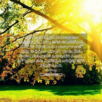 Picture 05 - యిర్మీయా 37:7 TELIRV - “ఇశ్రాయేలు - Bible Verse Picture