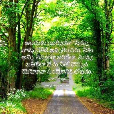 Picture 05 - యిర్మీయా 38:20 TELIRV - అందుకు యిర్మీయా - Bible Verse Picture