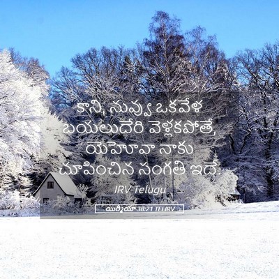 Picture 05 - యిర్మీయా 38:21 TELIRV - కాని, నువ్వు ఒకవేళ - Bible Verse Picture