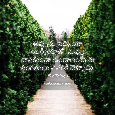 Picture 05 - యిర్మీయా 38:24 TELIRV - అప్పుడు సిద్కియా - Bible Verse Picture