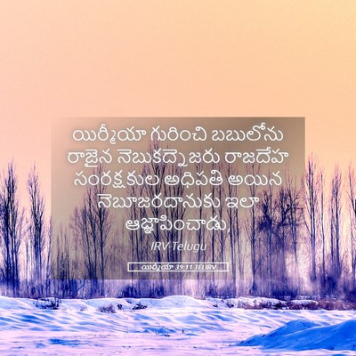 Picture 05 - యిర్మీయా 39:11 TELIRV - యిర్మీయా గురించి - Bible Verse Picture
