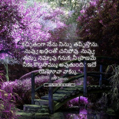 Picture 05 - యిర్మీయా 39:18 TELIRV - ‘కచ్చితంగా నేను - Bible Verse Picture