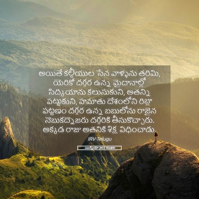 Picture 05 - యిర్మీయా 39:5 TELIRV - అయితే కల్దీయుల - Bible Verse Picture