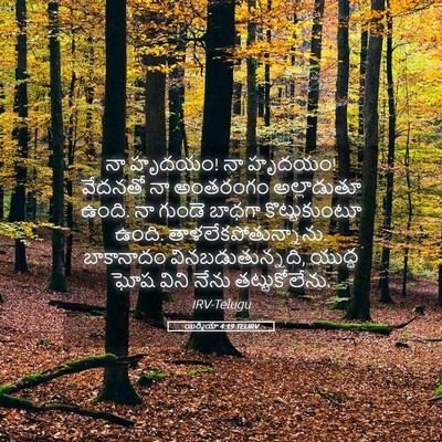Picture 05 - యిర్మీయా 4:19 TELIRV - నా హృదయం! నా హృదయం! - Bible Verse Picture