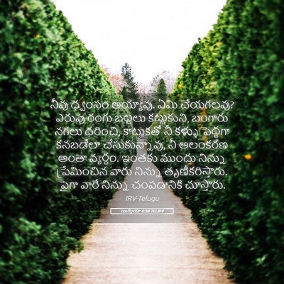 Picture 05 - యిర్మీయా 4:30 TELIRV - నీవు ధ్వంసం - Bible Verse Picture