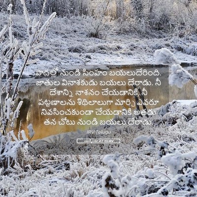Picture 05 - యిర్మీయా 4:7 TELIRV - పొదల్లో నుండి - Bible Verse Picture
