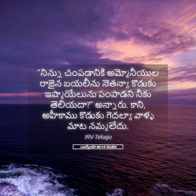 Picture 05 - యిర్మీయా 40:14 TELIRV - “నిన్ను చంపడానికి - Bible Verse Picture