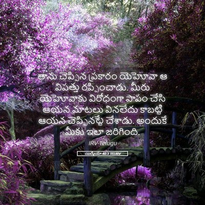 Picture 05 - యిర్మీయా 40:3 TELIRV - తాను చెప్పిన - Bible Verse Picture