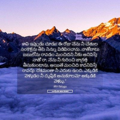 Picture 05 - యిర్మీయా 40:4 TELIRV - కాని ఇప్పుడు చూడు! - Bible Verse Picture