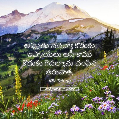 Picture 05 - యిర్మీయా 41:16 TELIRV - అప్పుడు నెతన్యా - Bible Verse Picture