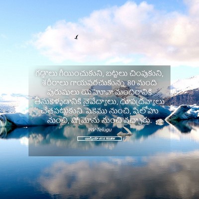 Picture 05 - యిర్మీయా 41:5 TELIRV - గడ్డాలు - Bible Verse Picture
