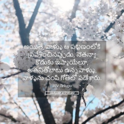 Picture 05 - యిర్మీయా 41:7 TELIRV - అయితే, వాళ్ళు ఆ - Bible Verse Picture