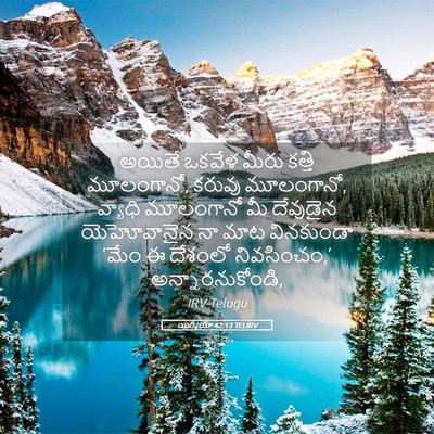 Picture 05 - యిర్మీయా 42:13 TELIRV - అయితే ఒకవేళ మీరు - Bible Verse Picture