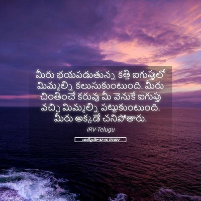 Picture 05 - యిర్మీయా 42:16 TELIRV - మీరు భయపడుతున్న - Bible Verse Picture