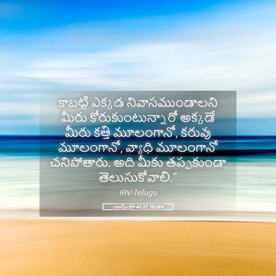 Picture 05 - యిర్మీయా 42:22 TELIRV - కాబట్టి ఎక్కడ - Bible Verse Picture