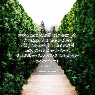 Picture 05 - యిర్మీయా 42:5 TELIRV - వాళ్ళు యిర్మీయాతో - Bible Verse Picture