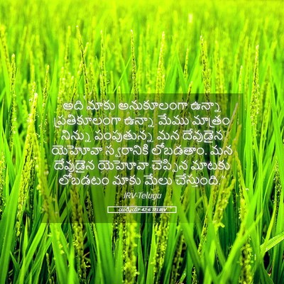 Picture 05 - యిర్మీయా 42:6 TELIRV - అది మాకు - Bible Verse Picture