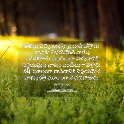 Picture 05 - యిర్మీయా 43:11 TELIRV - అతడు వచ్చి - Bible Verse Picture