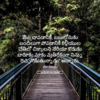 Picture 05 - యిర్మీయా 43:3 TELIRV - మేం చావడానికీ, - Bible Verse Picture
