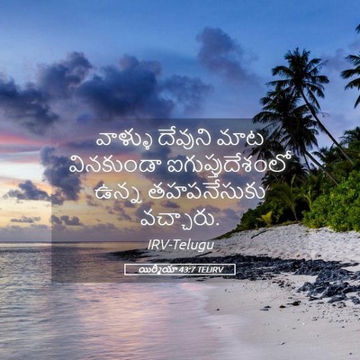 Picture 05 - యిర్మీయా 43:7 TELIRV - వాళ్ళు దేవుని మాట - Bible Verse Picture