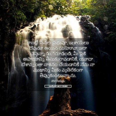 Picture 05 - యిర్మీయా 44:11 TELIRV - కాబట్టి సేనల - Bible Verse Picture