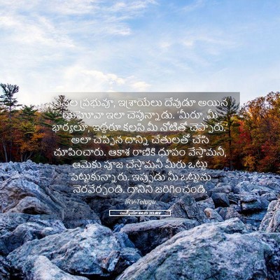 Picture 05 - యిర్మీయా 44:25 TELIRV - సేనల ప్రభువూ, - Bible Verse Picture