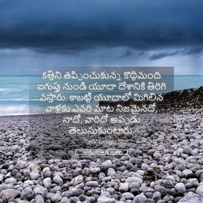 Picture 05 - యిర్మీయా 44:28 TELIRV - కత్తిని - Bible Verse Picture
