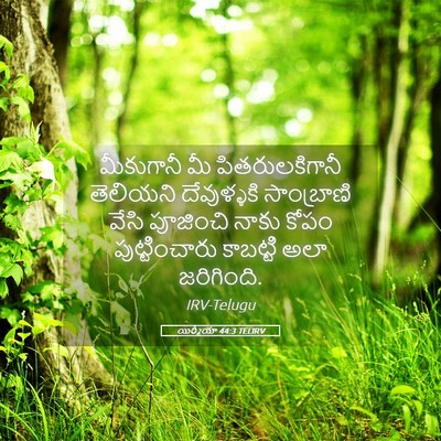 Picture 05 - యిర్మీయా 44:3 TELIRV - మీకుగానీ మీ - Bible Verse Picture
